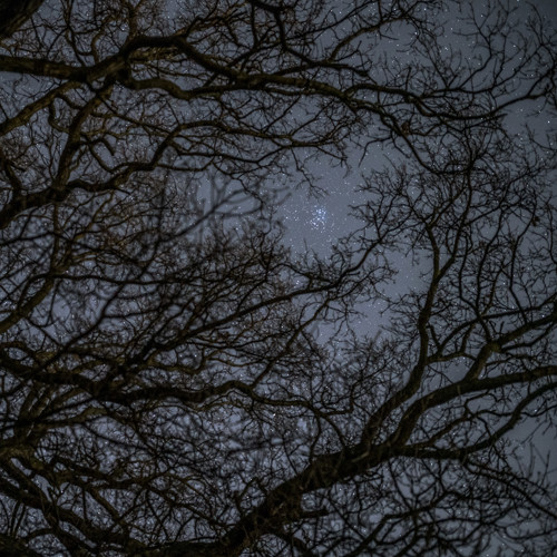 Jewels in the sky: 