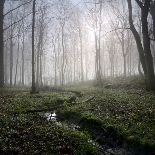 Sunlit dreams ...: Sunlit dreams ...