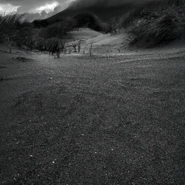 Untitled Dunescape 1