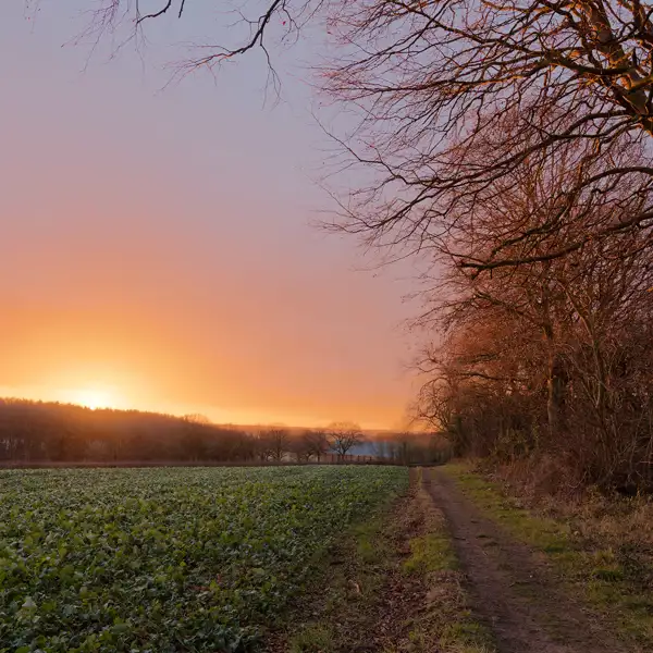Vivid Winter sunrise