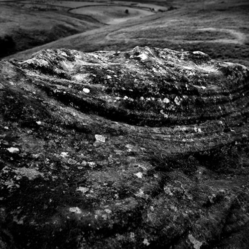 Whit Moor (3): Whit Moor