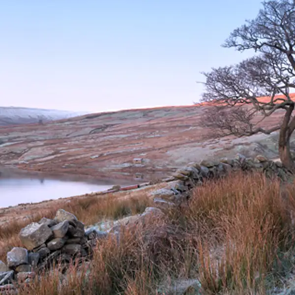 December frost