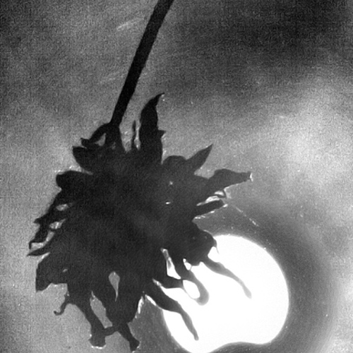 partial eclipse of the sun (1): partial eclipse of the sun