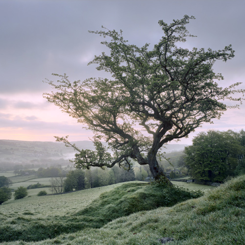 Early Autumn Dawn: Early Autumn Dawn