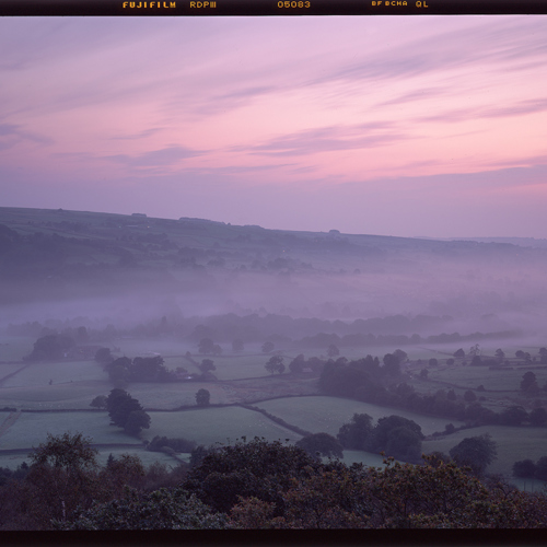 Autumn Dawn Mist: Autumn Dawn Mist