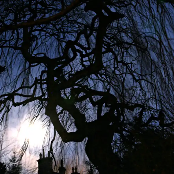 Moonset, Harrogate