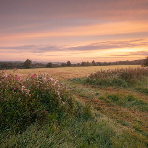 Killinghall red sky: 
