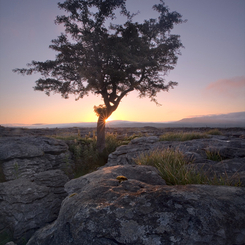 Peaceful morning: Peaceful morning