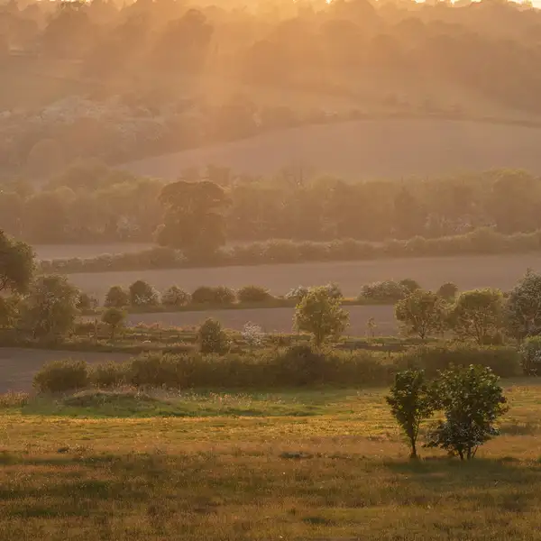 Crimple Valley in May