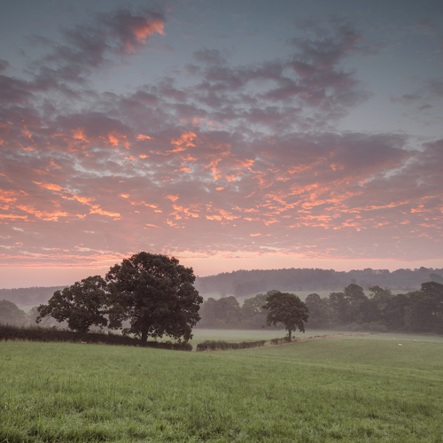 Crimple Valley Misty Summer Morning: 