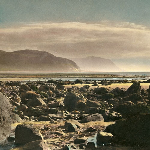 Rocky Shores: Rocky Shores