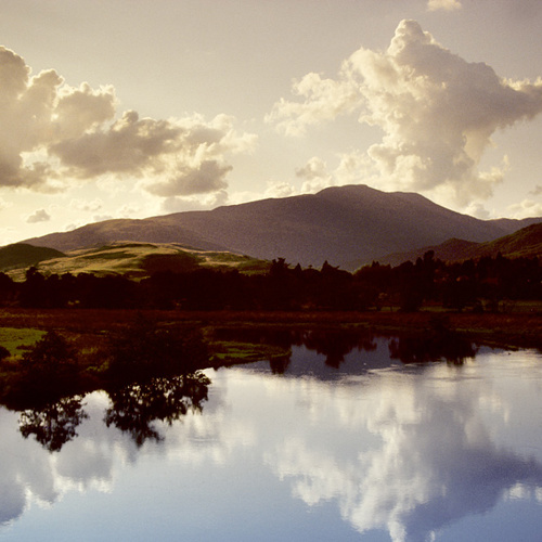 Reflections (1): Reflections