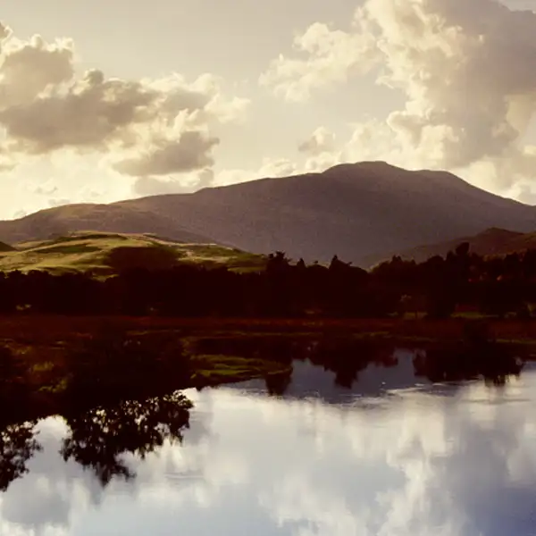 Reflections (1)