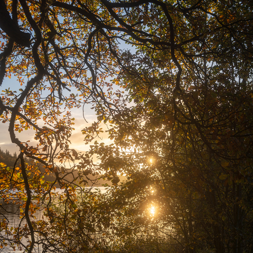 Fewston Autumn: 