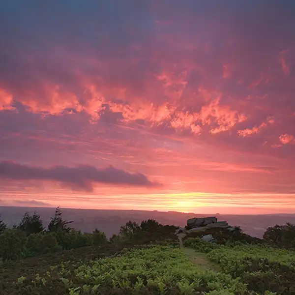 Nought Bank at sunrise, Pateley Bridge