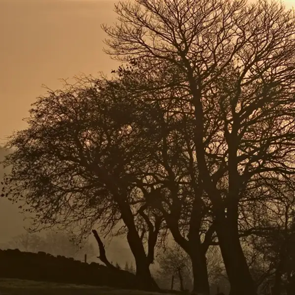 Sunrise, Timble