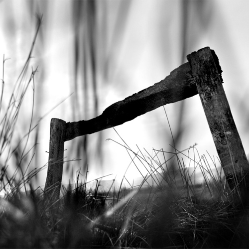 Whit Moor (1): Whit Moor