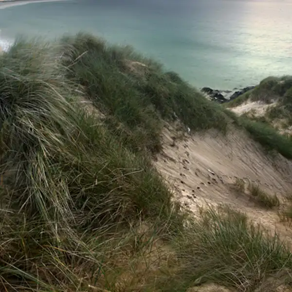 Scarista Bay (1)