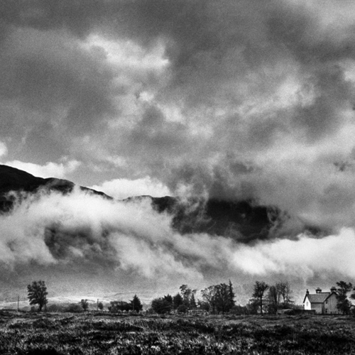 Scotch Mist: Scotch Mist