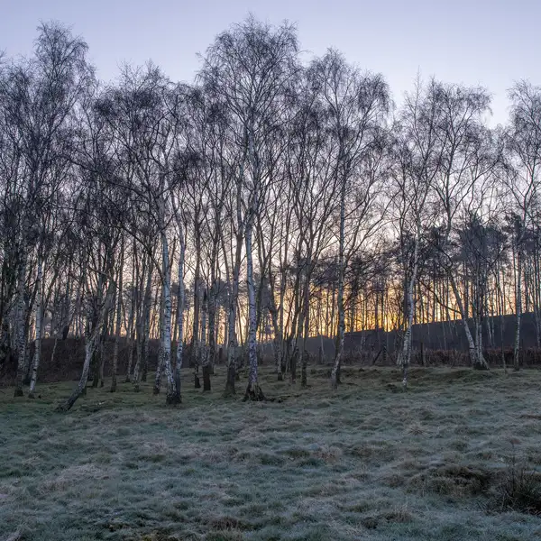 Cold March morning