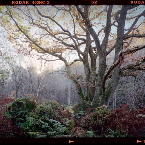 Mother Nature: Mother Nature