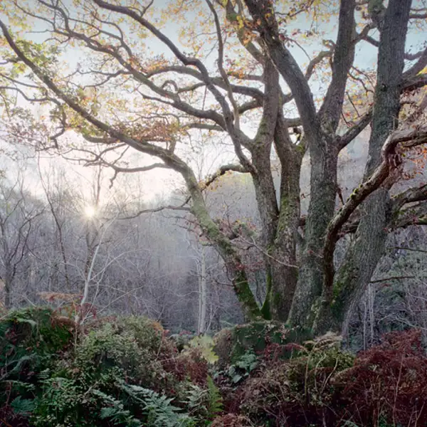 Mother Nature