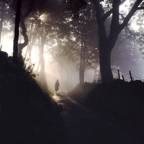 The Magic Of Mist: The Magic Of Mist