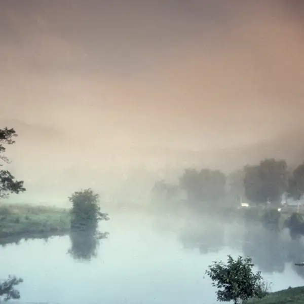 Morning Mist (1)