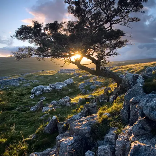 Safe until the darkness falls ...