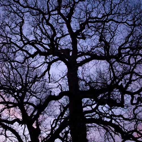 New Year Crimple Valley Walk: 