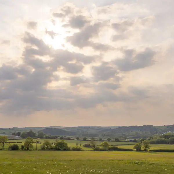 South Harrogate views
