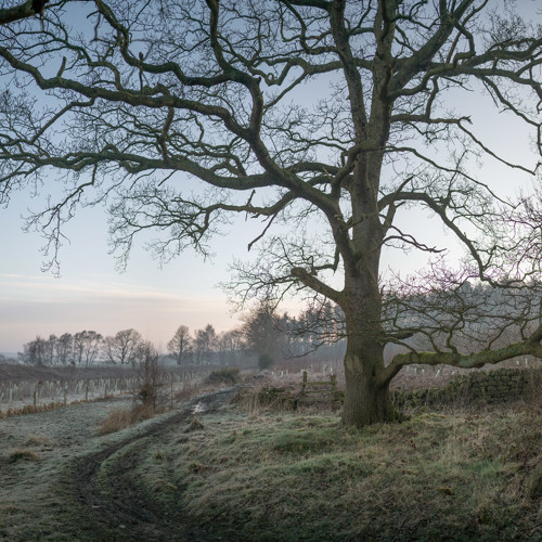 Cold March morning: 
