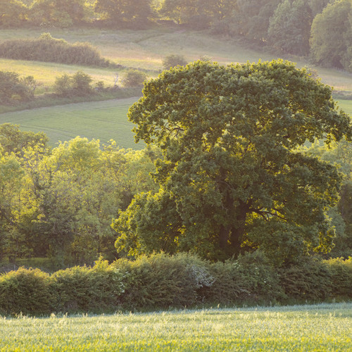 Crimple Valley: 
