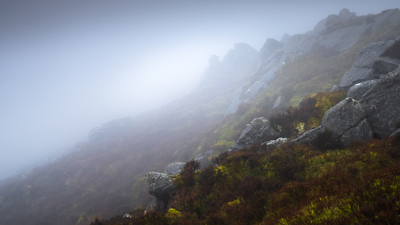 Silence II