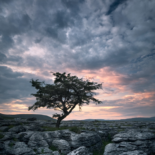 Alone with the cold of the stone: Alone with the cold of the stone
