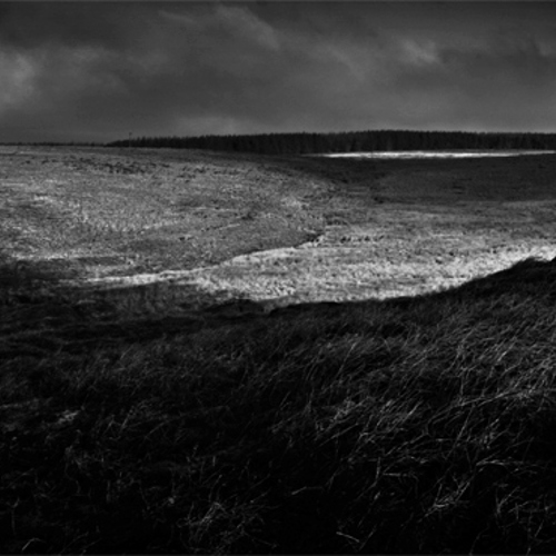 Whit Moor: Whit Moor