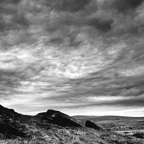 Whit moor (2): Whit moor