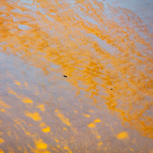 Coastal Reflections: 