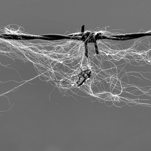 wire: wire
