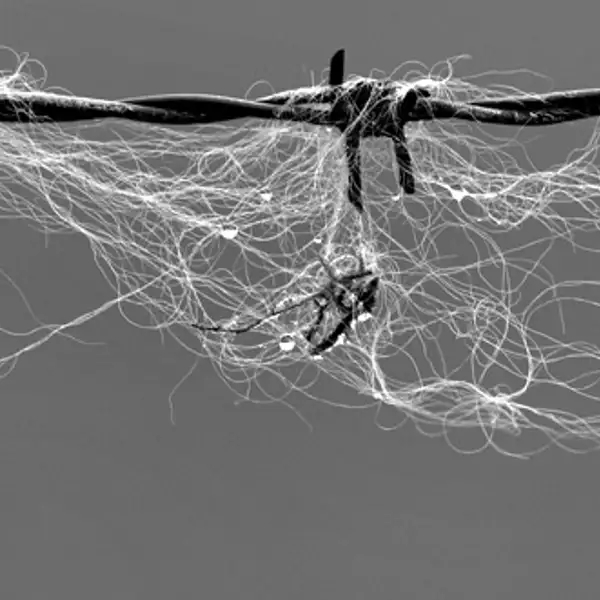 wire