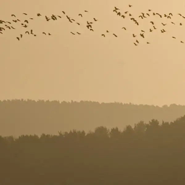 Dawn at Fewston