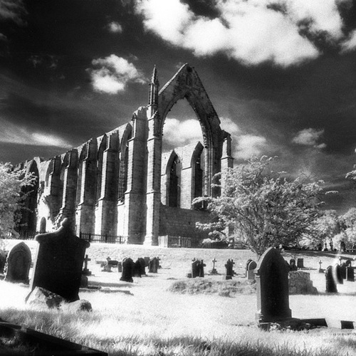 Bolton Abbey: Bolton Abbey