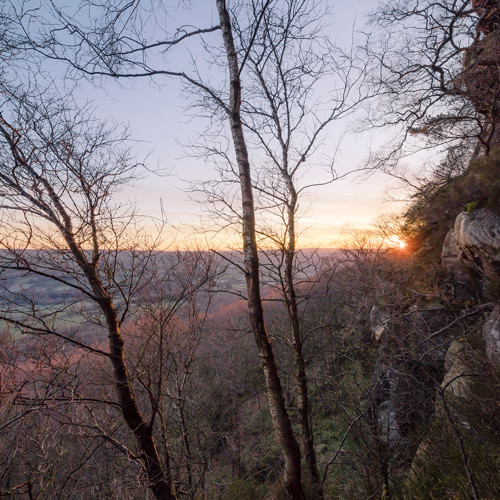 Late winter dawn: 