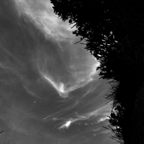 Daytime moon: Daytime moon