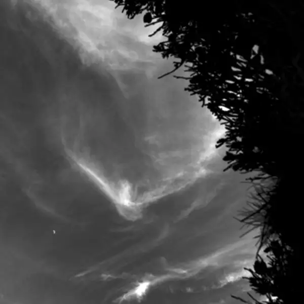 Daytime moon