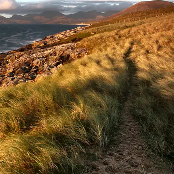 clach mhicleoid 2