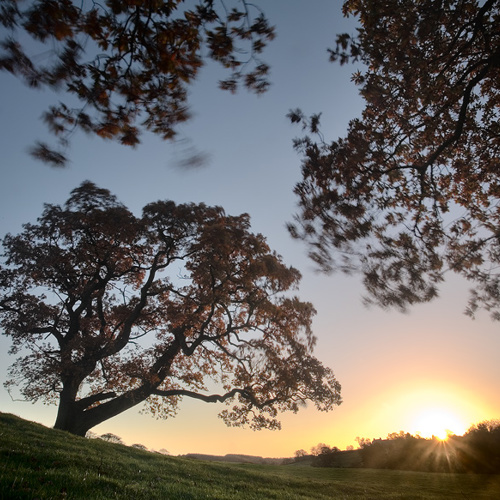 Autumn Sunrise: Autumn Sunrise
