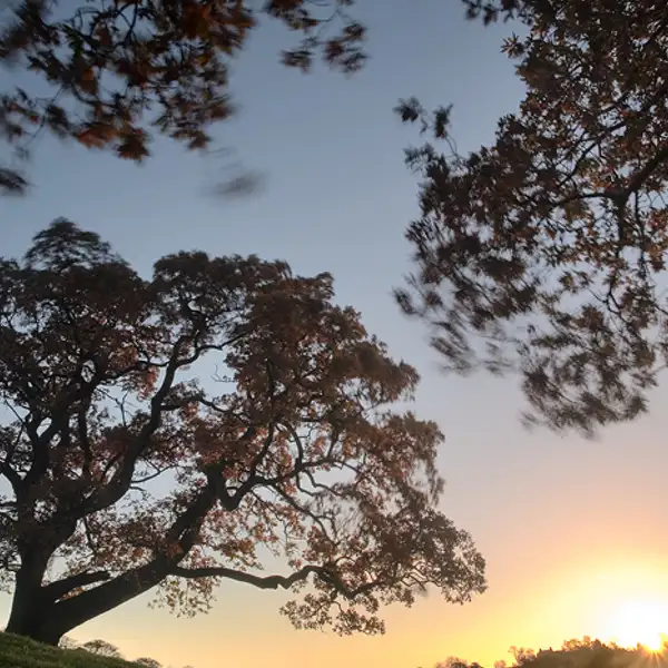 Autumn Sunrise