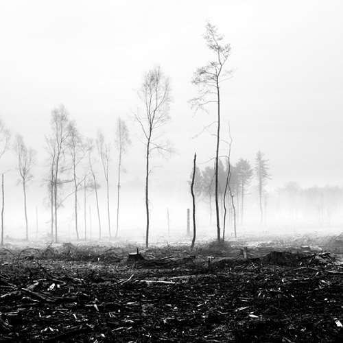 Destruction revisited: Destruction revisited