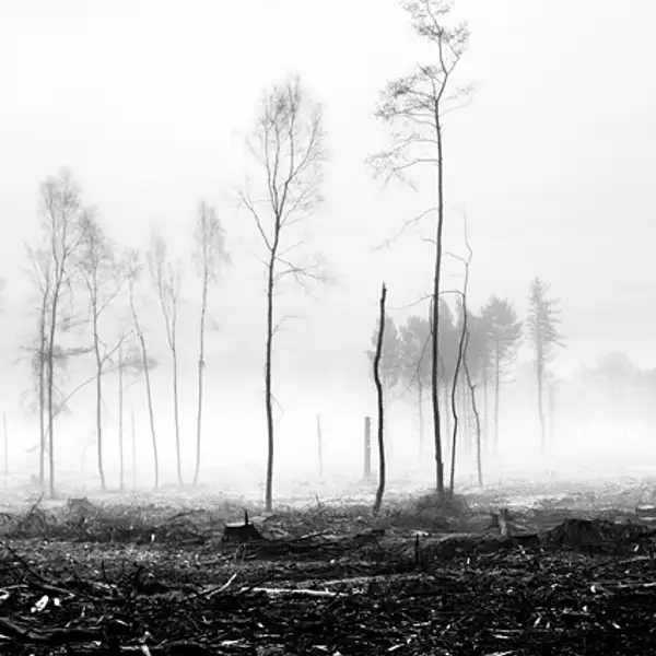 Destruction revisited